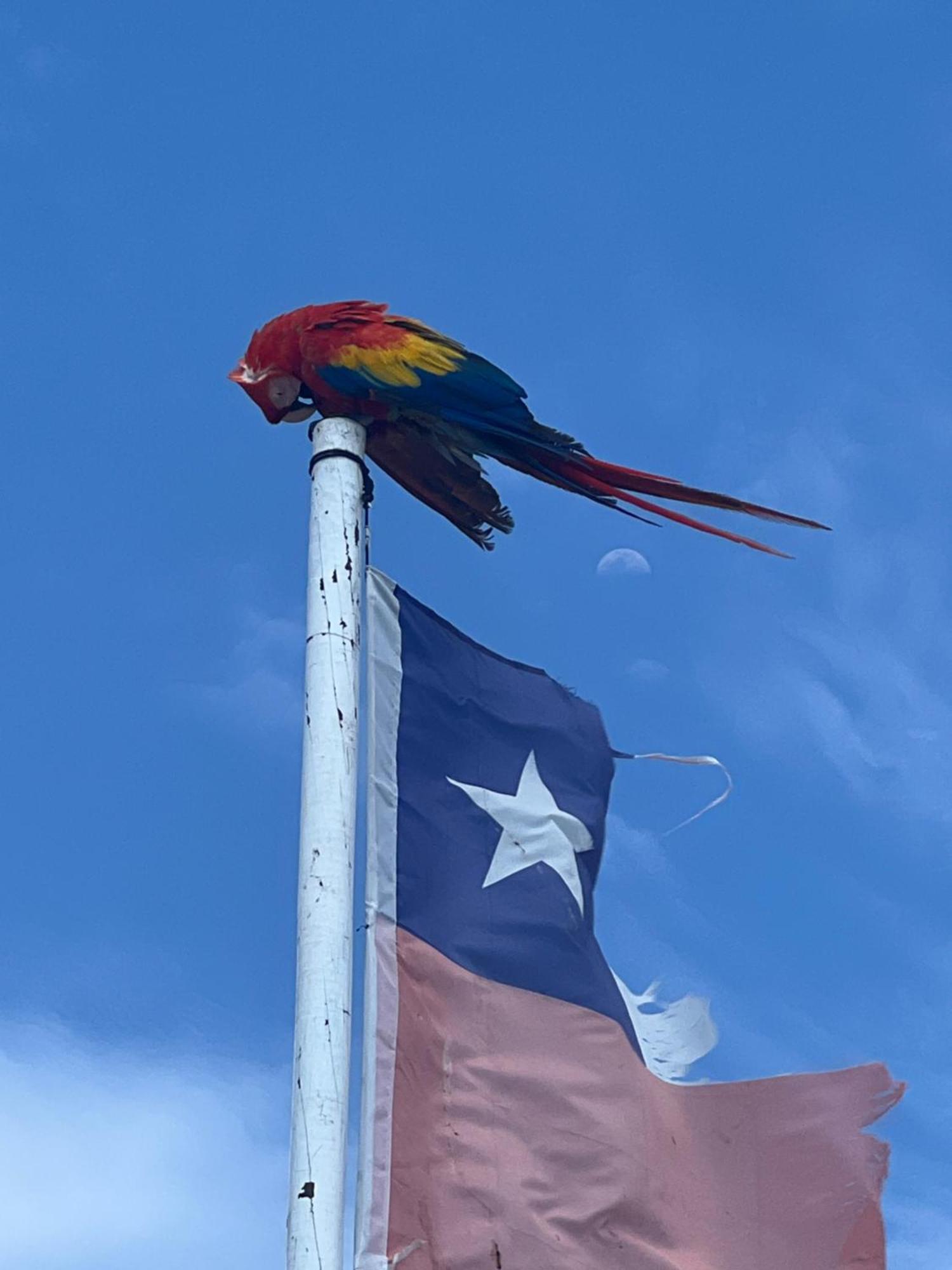 Aparta Fantastique Cerca Al Aeropuerto De Cartagena