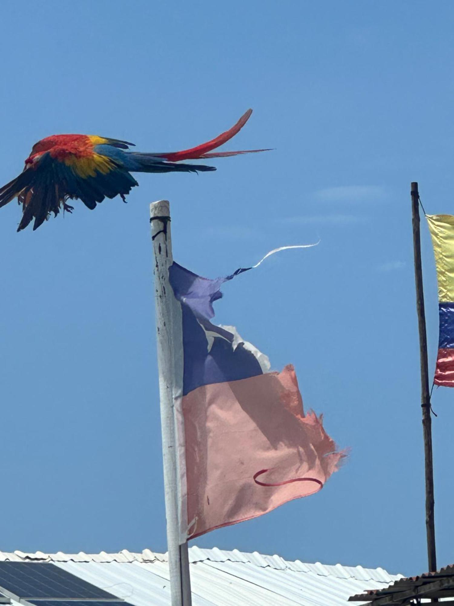 Aparta Fantastique Cerca Al Aeropuerto De 公寓 Cartagena