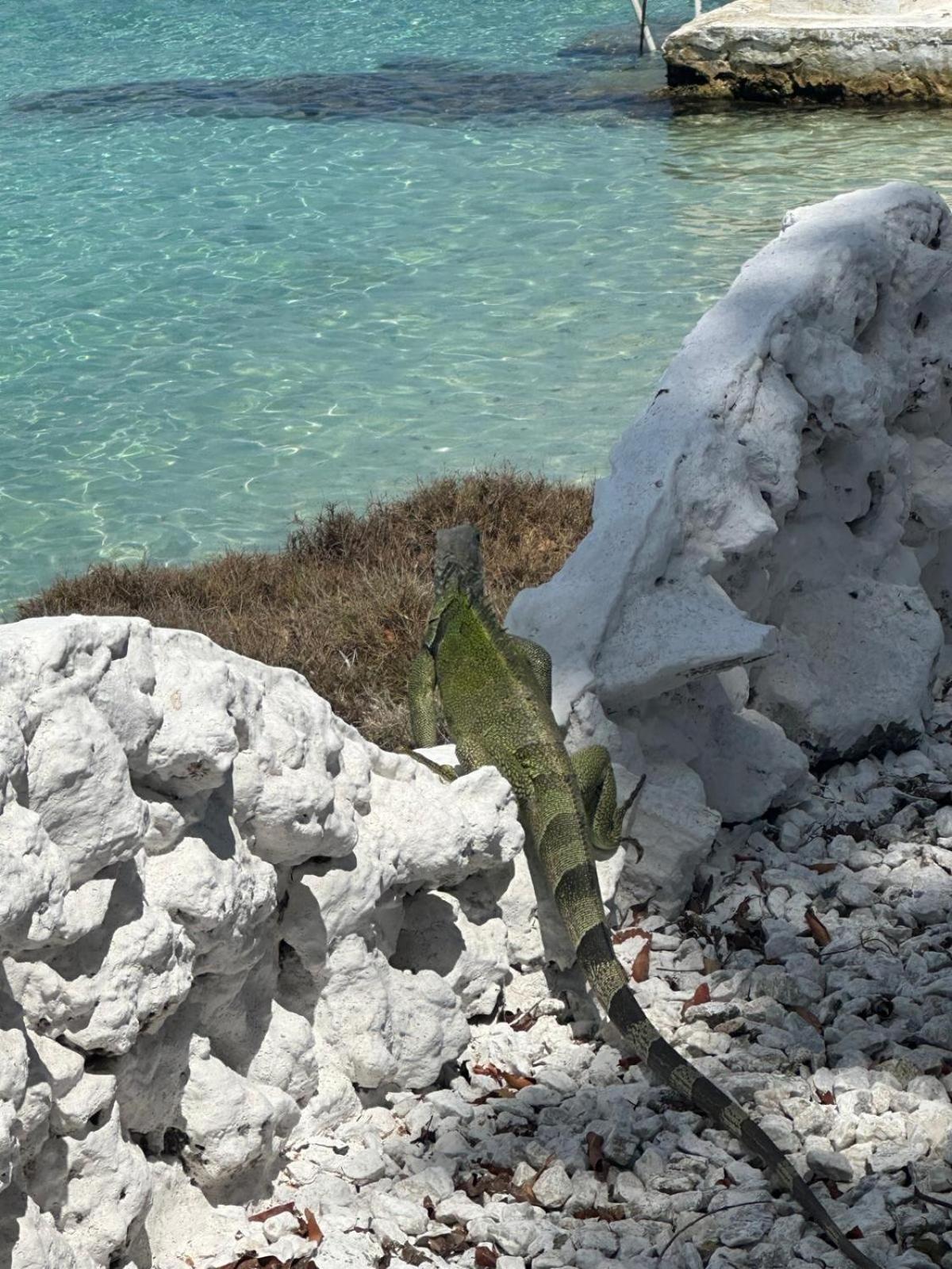 Aparta Fantastique Cerca Al Aeropuerto De Cartagena